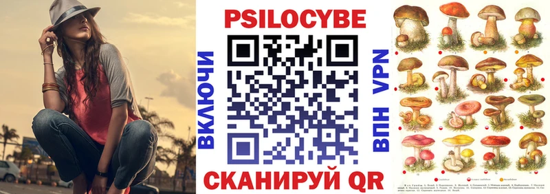 блэк спрут зеркало  Фрязино  Псилоцибиновые грибы Psilocybine cubensis 